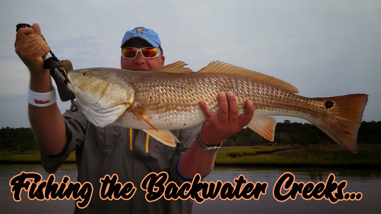 Topsail Fishing Charters NX - Topsail's Top Fishing Charters - #1 All-Inclusive. surf city fishing guide